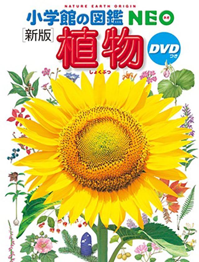 小学館の図鑑NEO 植物